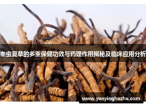冬虫夏草的多重保健功效与药理作用揭秘及临床应用分析
